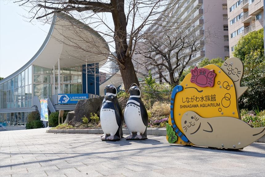 しながわ水族館　入り口
