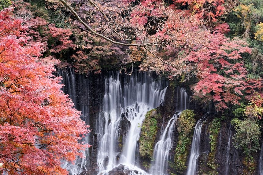 展望台から撮影した紅葉と白糸の滝