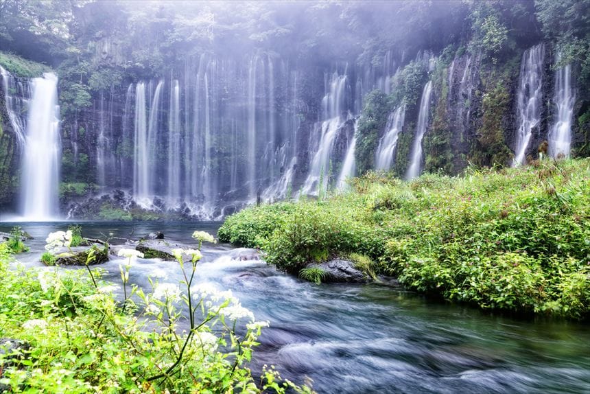 緑と水のカーテンが美しい白糸の滝