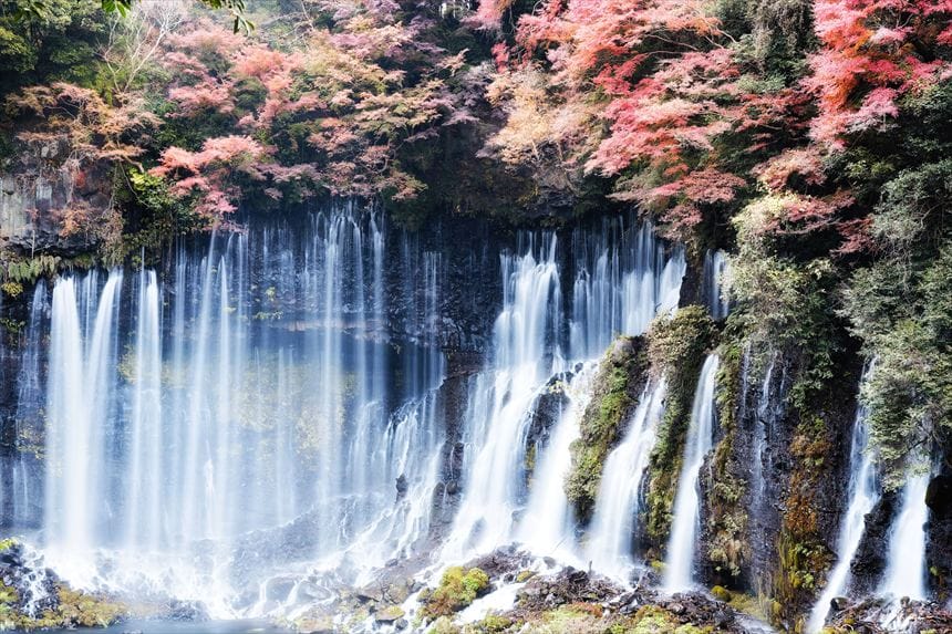 岩の隙間から染み出す白糸の滝の水