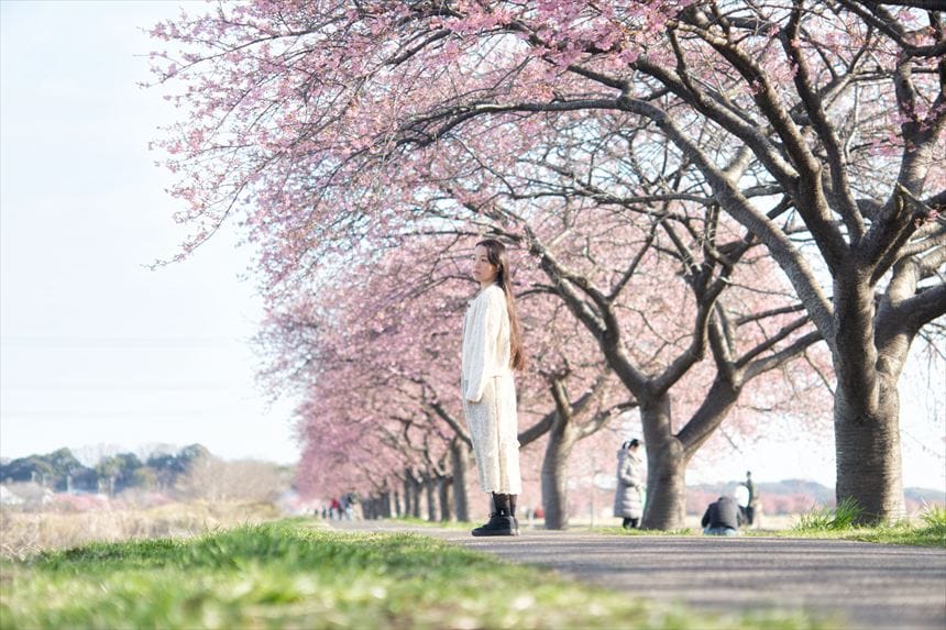 千葉県八千代市の新川千本桜の河津桜並木道でポートレート撮影