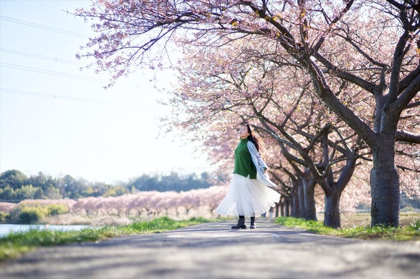 千葉県八千代市の新川千本桜の河津桜並木道でポートレート撮影