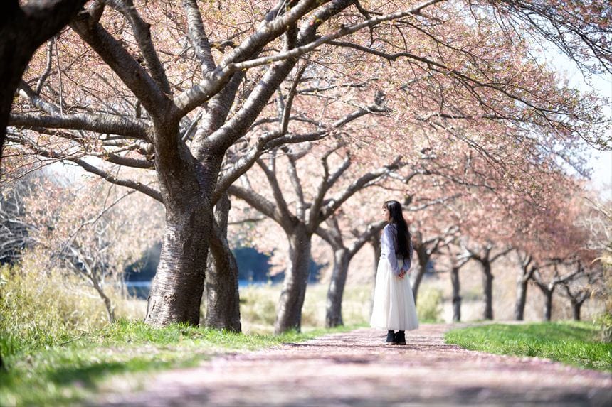 千葉県八千代市の新川千本桜の河津桜並木道でポートレート撮影