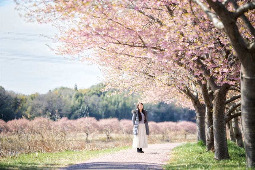 千葉県八千代市の新川千本桜の河津桜並木道でポートレート撮影