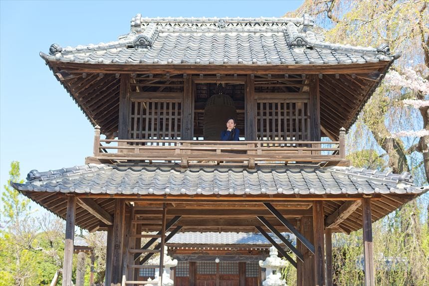 阿弥陀寺の鐘楼から顔を出すハチ