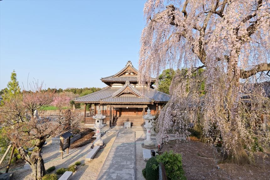 阿弥陀寺の鐘楼からの景色