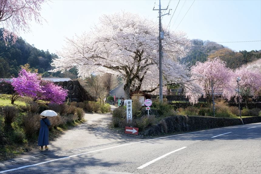 花の寺 宝積寺 入り口