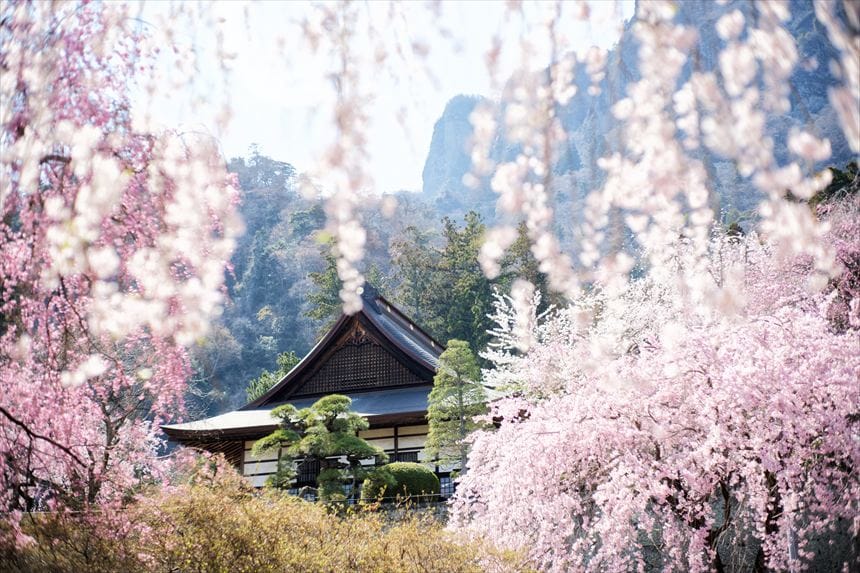 妙義神社　しだれ桜の広場からの風景