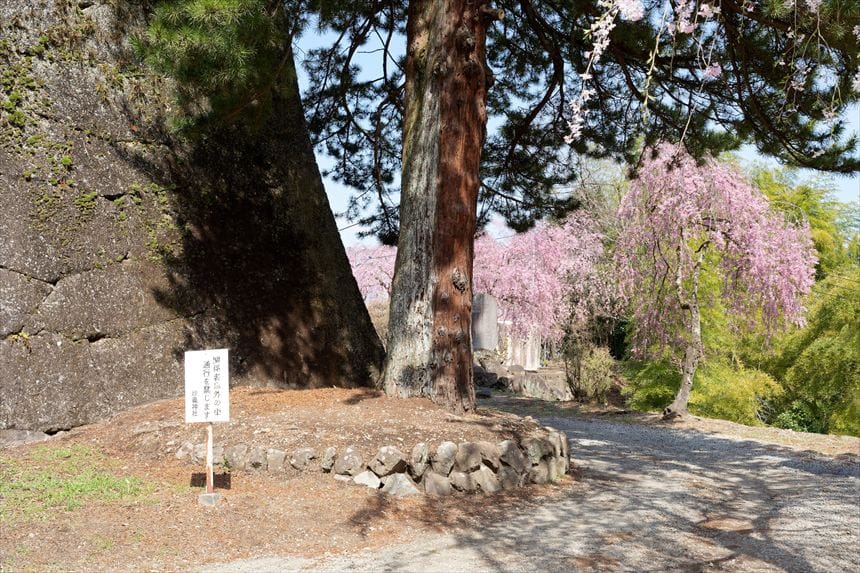 妙義神社　しだれ桜の広場までの目印