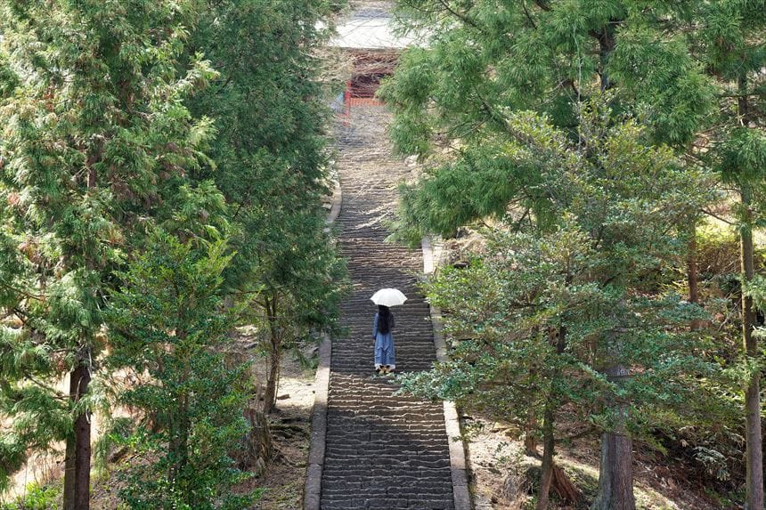 妙義神社　男坂　随神門まで通じる階段
ポートレート